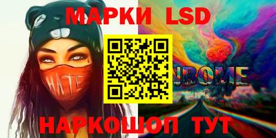 a pvp Новозыбков