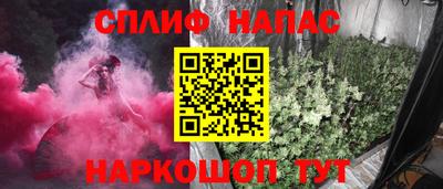 a pvp Новозыбков