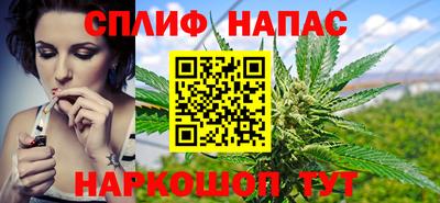 a pvp Новозыбков