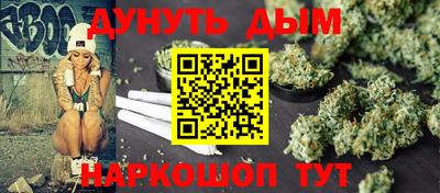 a pvp Новозыбков