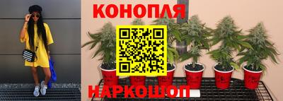 ALPHA PVP Новодвинск