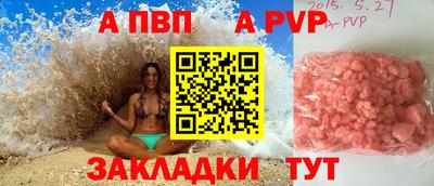 a pvp Новозыбков