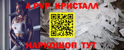 a pvp Новозыбков