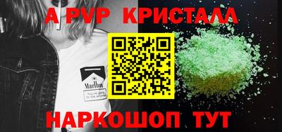 a pvp Новозыбков