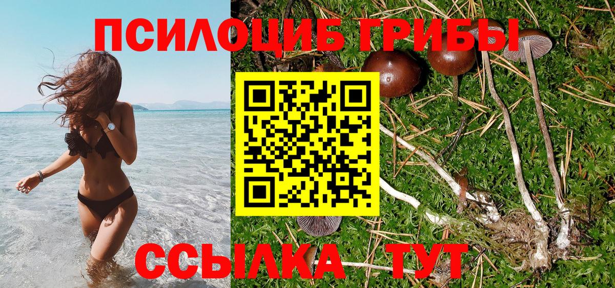 Галлюциногенные грибы MAGIC MUSHROOMS Петропавловск-Камчатский