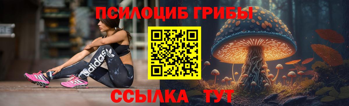 Галлюциногенные грибы Cubensis  Вход с VPN  Петропавловск-Камчатский 